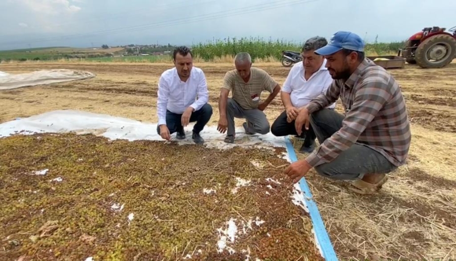 Başevirgen, “Manisalı Üzüm Üreticisini Fiyattan Sonra Bir De Dolu Vurdu”