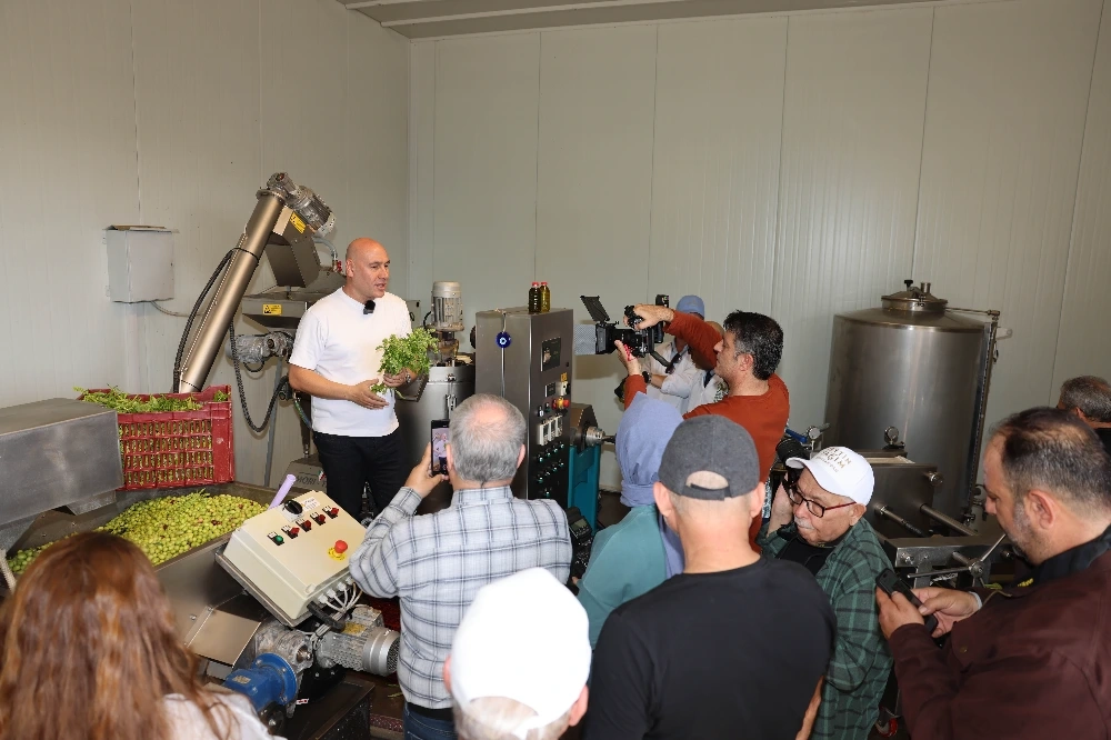 Akhisar’da Hasat Başladı: “Kıracaksan Zeytin Kır, Kalp Kırma”