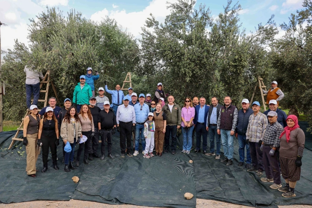 Akhisar’da Zeytin Hasadı “Kıracaksan Zeytin Kır, Kalp Kırma” Sloganıyla Başladı