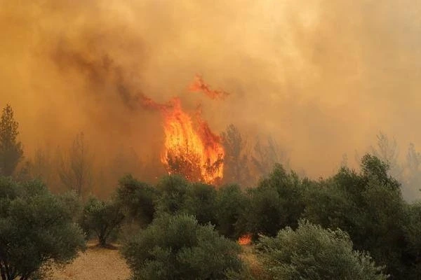 Saruhanlı’da Orman Yangını Kontrol Altına Alındı