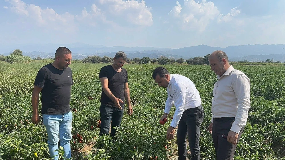 Çiftçiden CHP’li Başevirgen’e isyan: “Bu düzen çiftçiyi bitirir”