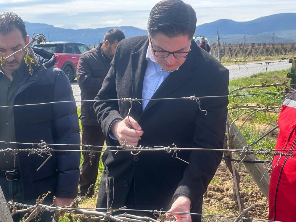 Don Afetinden Zarar Gören Çiftçilere Destekleme Müjdesi