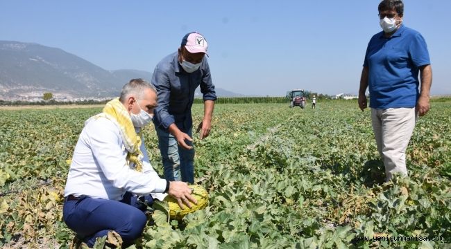 Kırkağaç Kavunu Askılarda Yerini Alıyor