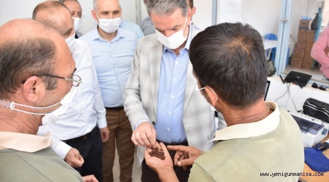 TMO Genel Müdürü Ahmet Güldal Üzüm Alımına Bizzat Katıldı