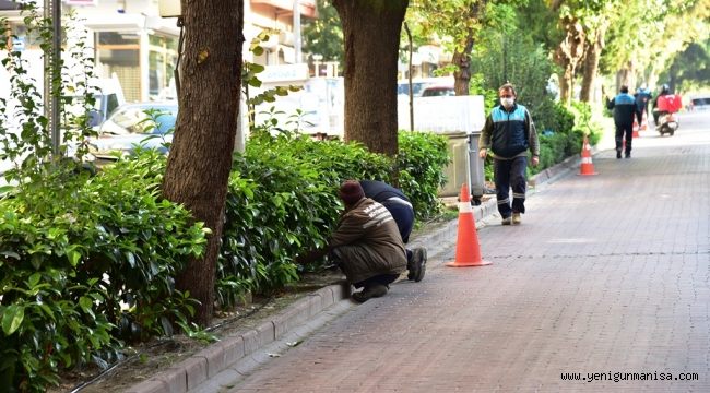 Yeşil Alanlarda “Damla Sulama” Dönemi Başladı