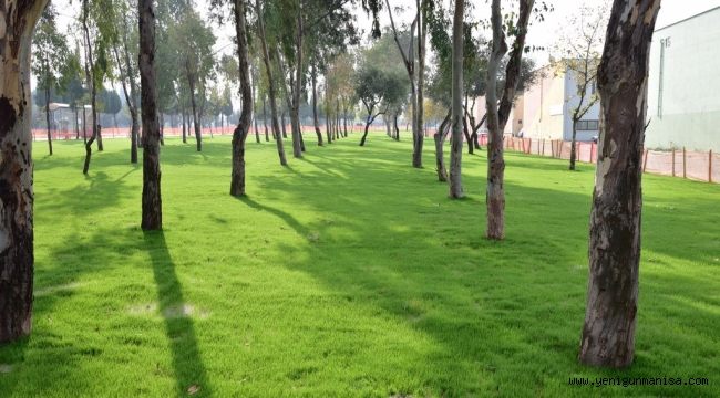 60 günde 80 bin metrekarelik yeşil alan