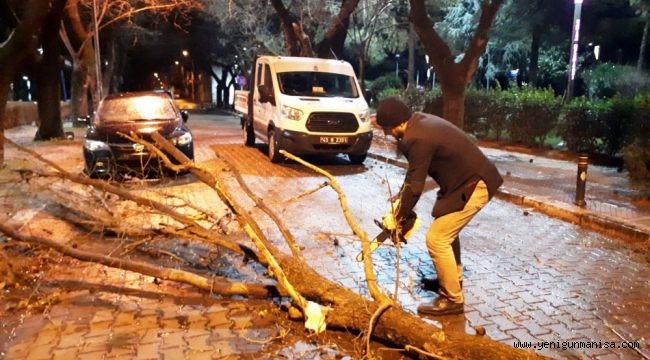 Fırtına ağaçları devirdi çatıları uçurdu