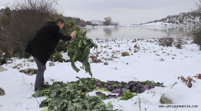 Saruhanlı Belediyesi Yaban Hayvanlarını Unutmadı