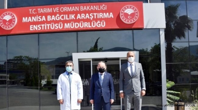 Vali Karadeniz Bağcılık Araştırma Enstitüsü’nde inceleme Yaptı