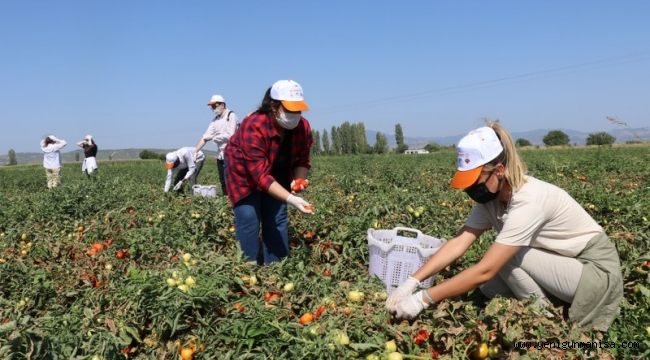 Bu hasatta hem israfı önleme hem de paylaşma var