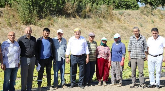 BAŞKAN ÇERÇİ ÜZÜM BAĞINDA ÜRETİCİLERİ ZİYARET ETTİ      