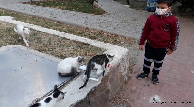  Hayvanları koruma gününde kedilere yem verdi