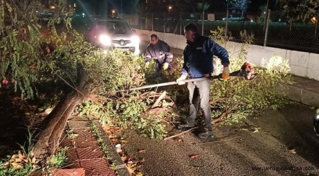 FIRTINA NEDENİYLE DEVRİLEN AĞAÇLAR KALDIRILDI