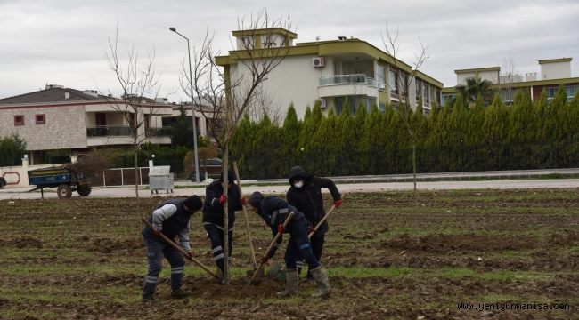 YUNUSEMRE MURADİYE’Yİ AĞAÇLANDIRIYOR  