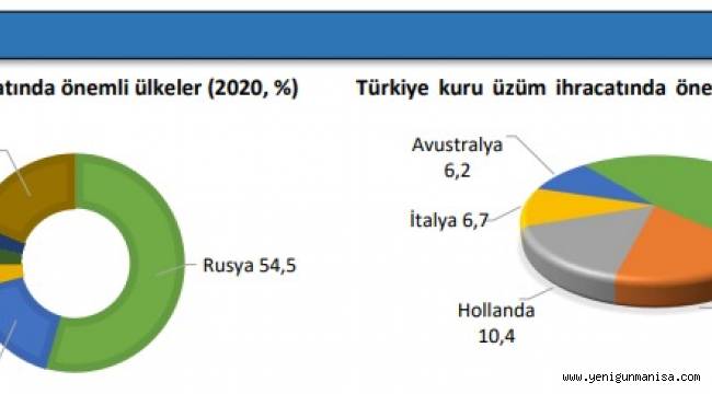 Savaş Manisa’nın Bağlarını Vuracak