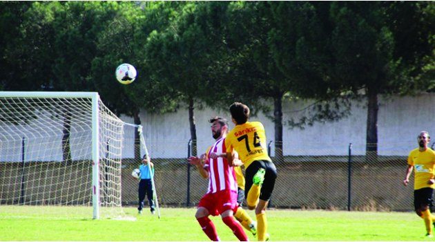 Bal’da Altıncı Haftaya Bakış