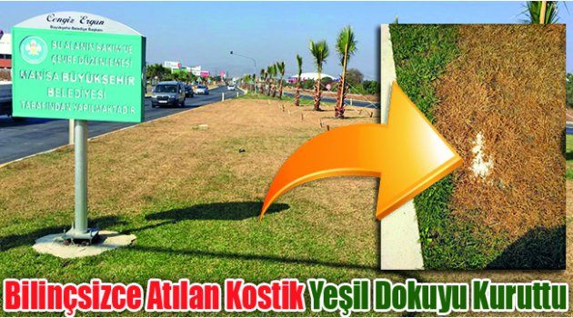 Bilinçsizce Atılan Kostik Yeşil Dokuyu Kuruttu