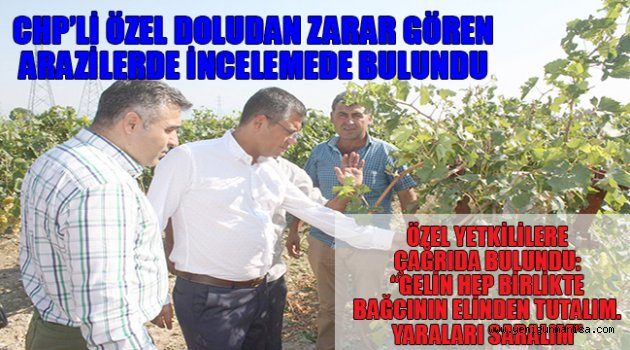 CHP’Lİ ÖZEL DOLUDAN ZARAR GÖREN ARAZİLERDE İNCELEMEDE BULUNDU