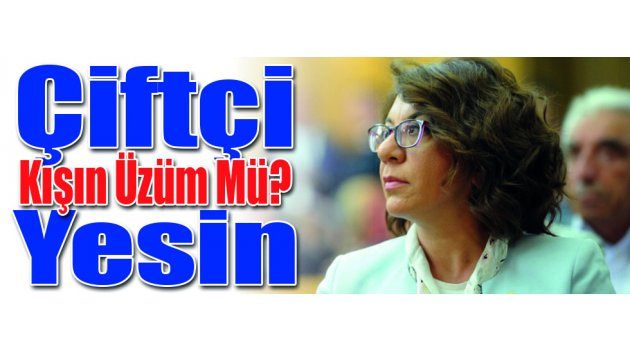 Çiftçi Kışın Üzüm Mü? Yesin