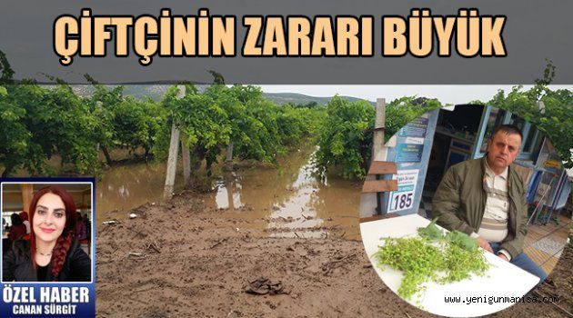 ÇİFTÇİNİN ZARARI BÜYÜK