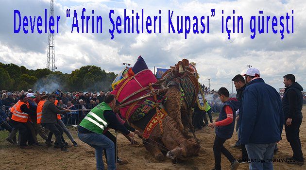 Develer “Afrin Şehitleri Kupası” için güreşti