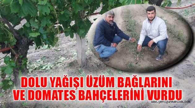 DOLU YAĞIŞI ÜZÜM BAĞLARINI VE DOMATES BAHÇELERİNİ VURDU