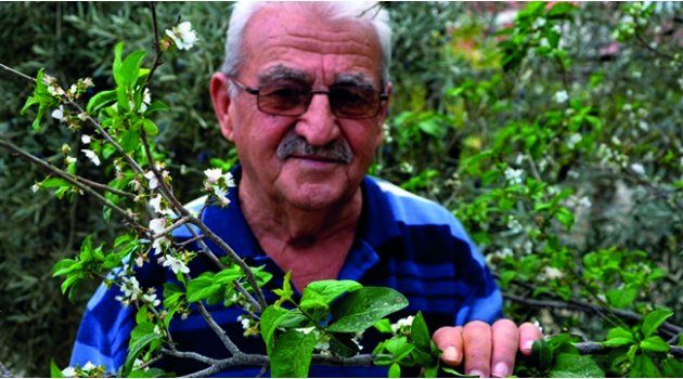 Erik Ağacı İkinci Kez Çiçek Açtı