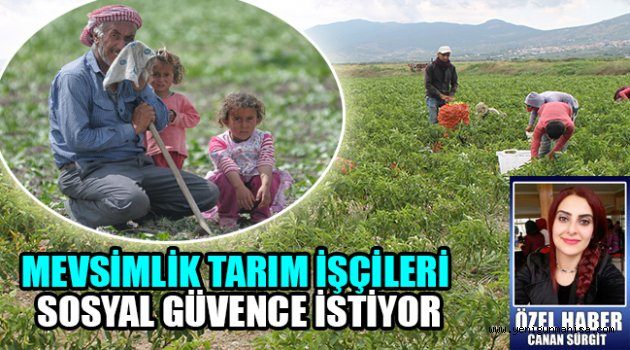 MEVSİMLİK TARIM İŞÇİLERİ SOSYAL GÜVENCE İSTİYOR