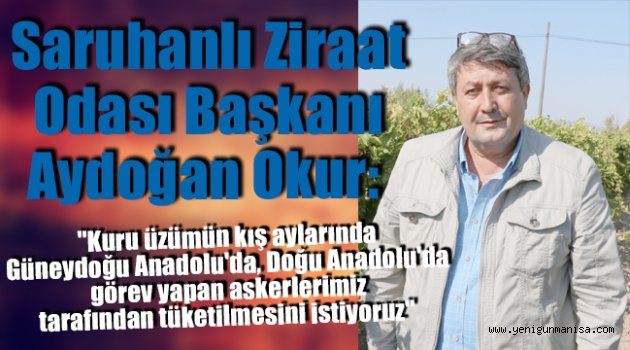 Oda başkanından "Asker üzümü" proje önerisi