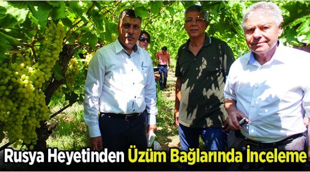 Rusya Heyetinden Üzüm Bağlarında İnceleme