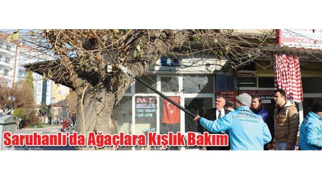 Saruhanlı’da Ağaçlara Kışlık Bakım