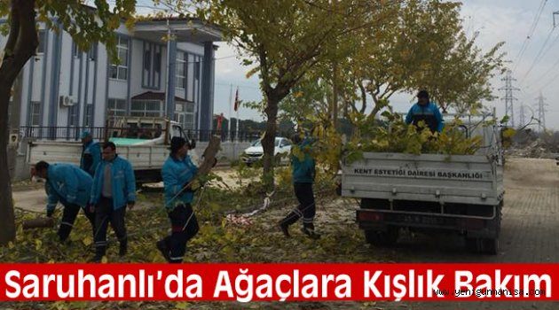 Saruhanlı’da Ağaçlara Kışlık Bakım