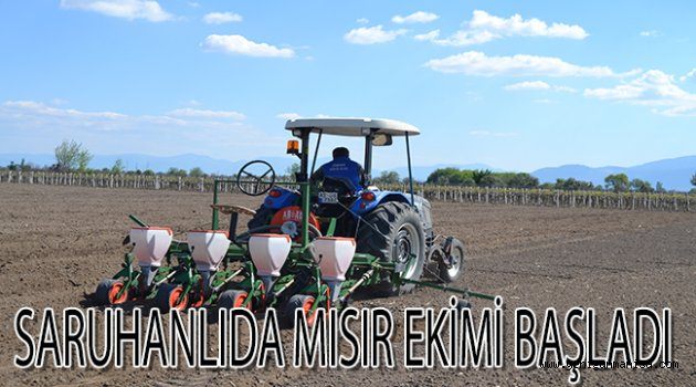 SARUHANLIDA MISIR EKİMİ BAŞLADI