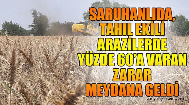 SARUHANLIDA, TAHIL EKİLİ ARAZİLERDE YÜZDE 60’A VARAN ZARAR MEYDANA GELDİ