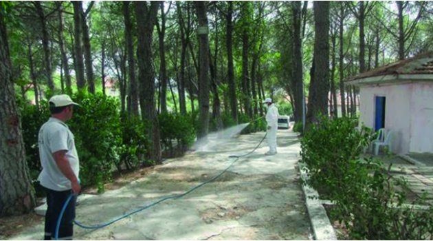 Selendi’de İlaçlama Çalışmaları Sürüyor