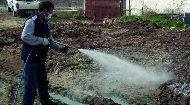 Selendi’de İlaçlama Devam Ediyor