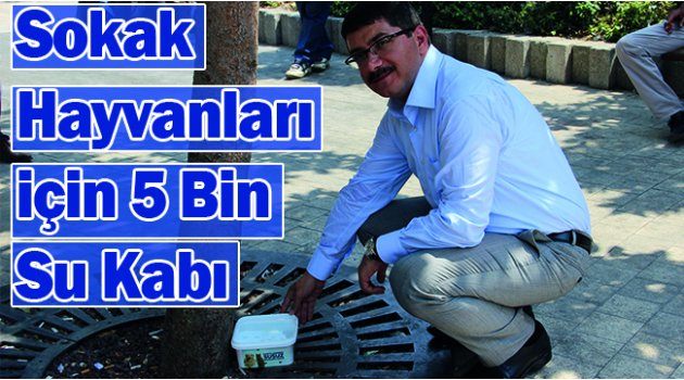  Sokak Hayvanları İçin 5 Bin Su Kabı