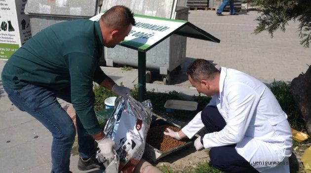 Sokak Hayvanlarına Saruhanlı Belediyesi Sahip Çıktı