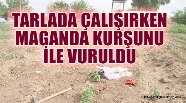 TARLADA ÇALIŞIRKEN MAGANDA KURŞUNU İLE VURULDU