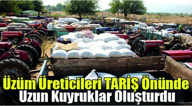 Üzüm Üreticileri TARİŞ Önünde Uzun Kuyruklar Oluşturdu