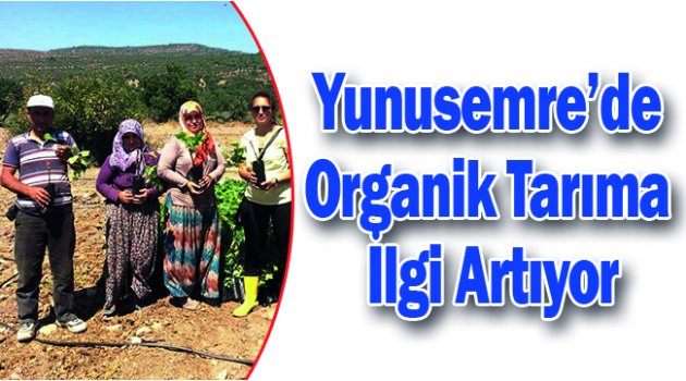 Yunusemre’de Organik Tarıma İlgi Artıyor