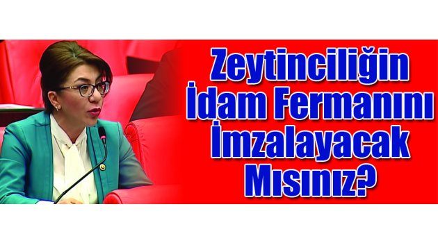 Zeytinciliğin İdam Fermanını İmzalayacak Mısınız?